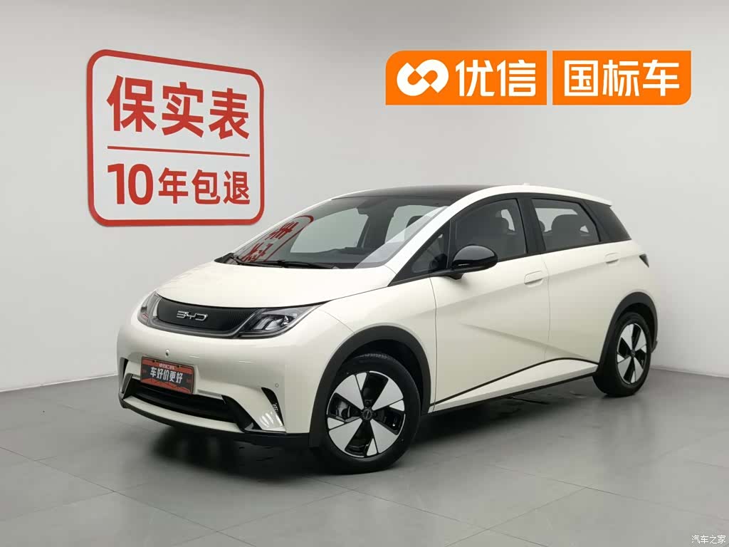 BYD Dolphin, 2023 1