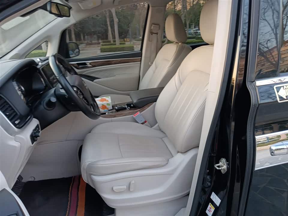 Trumpchi Trumpchi M8