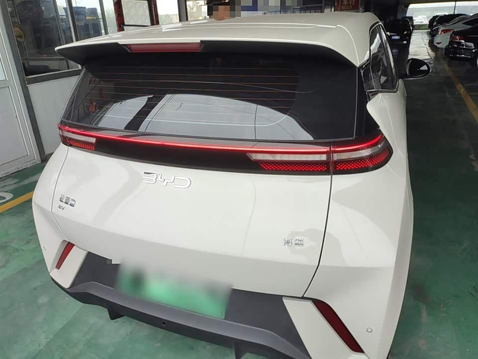 BYD Seagull