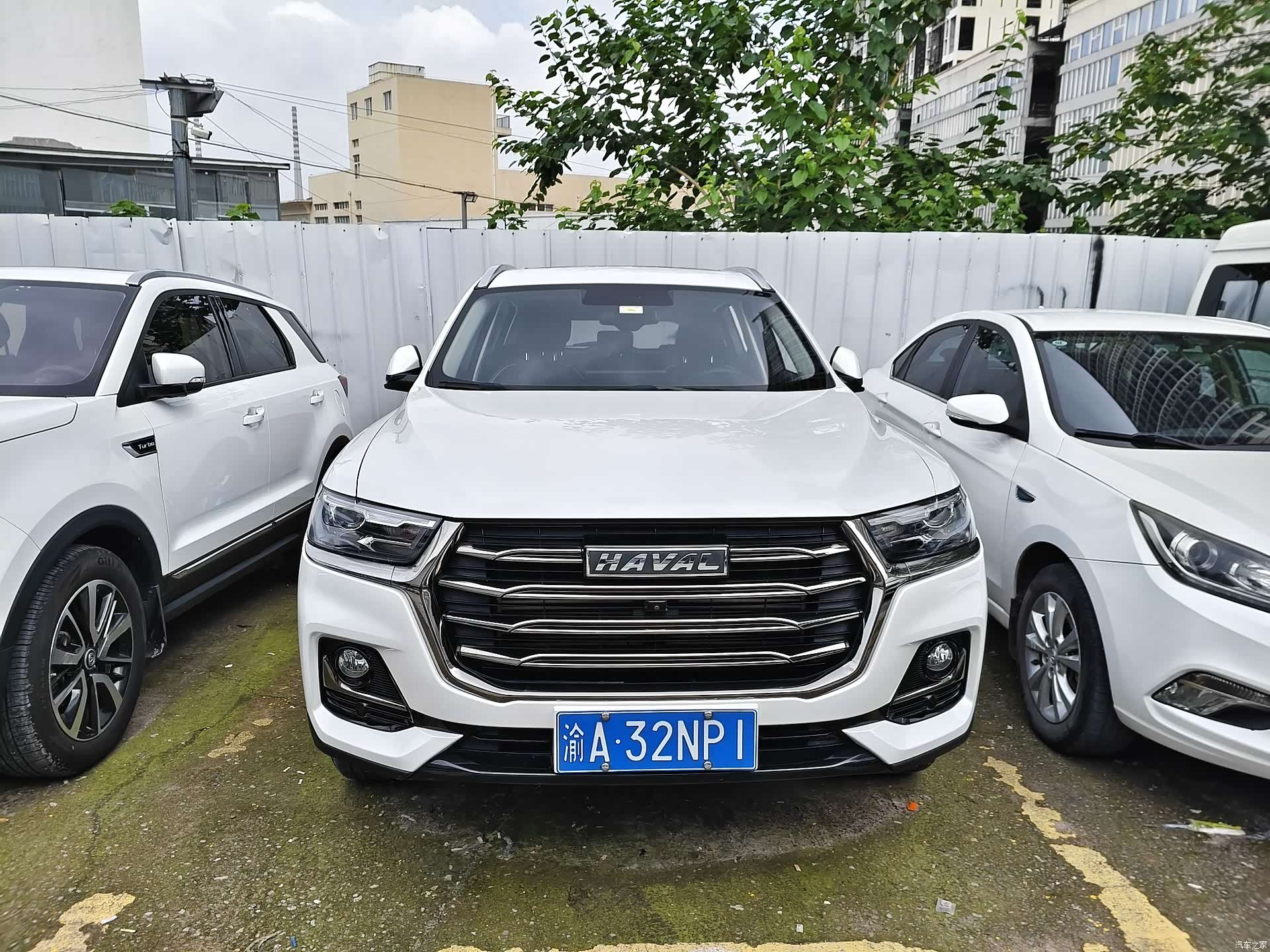 Haval H6, 2022 2