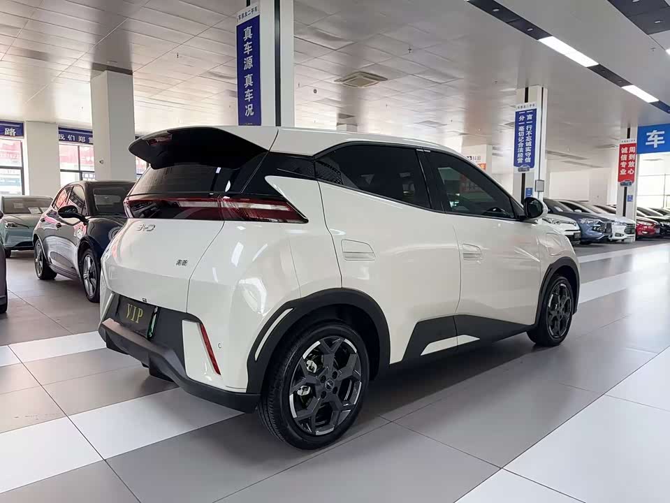 BYD Seagull