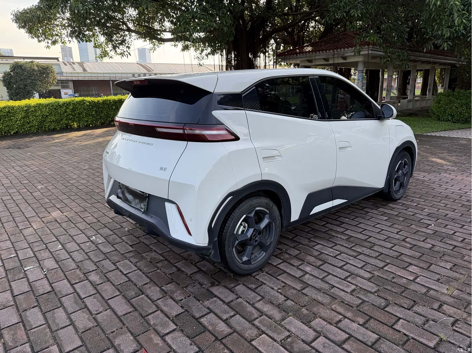 BYD Seagull, 2023 все фото