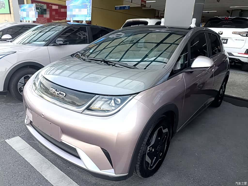 BYD Dolphin, 2022 2