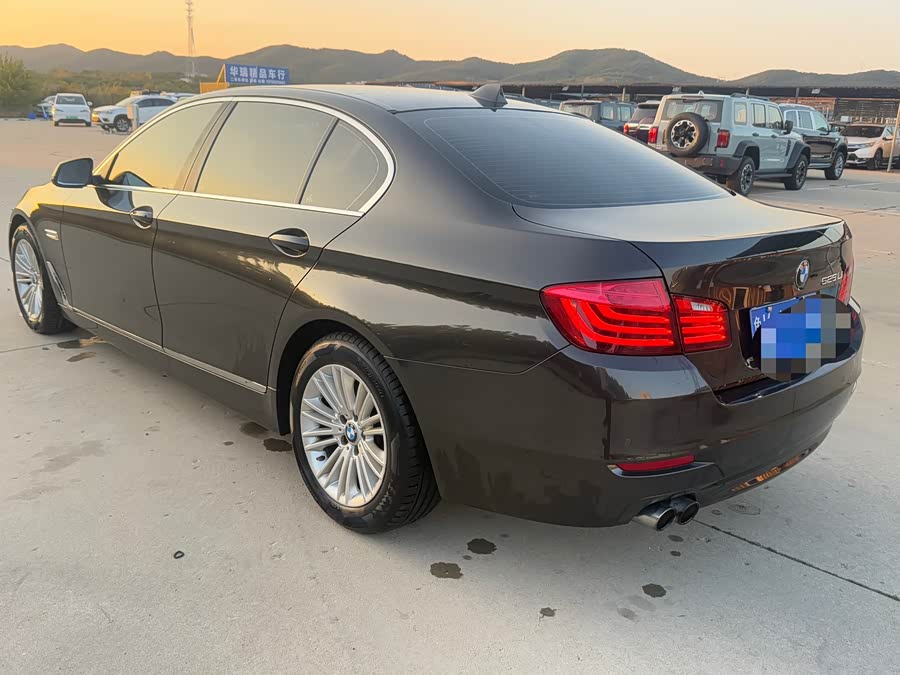 BMW 5 Series 2016, фото 6