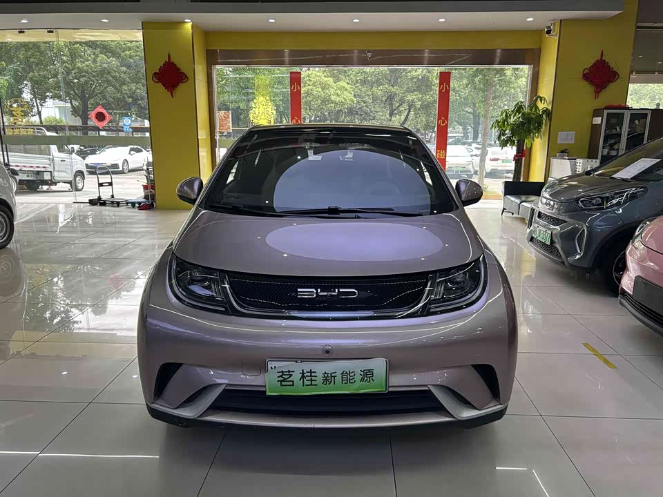 BYD dolphin