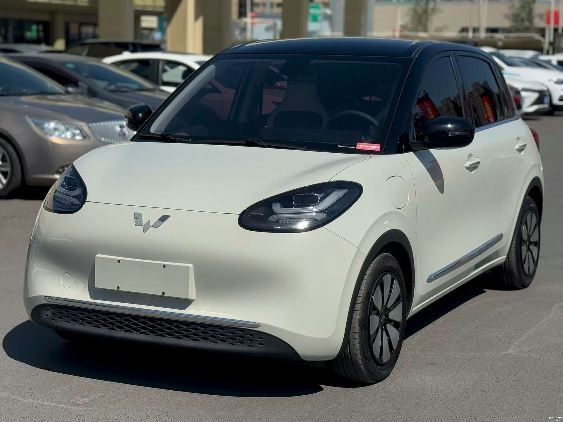 Wuling Bingo