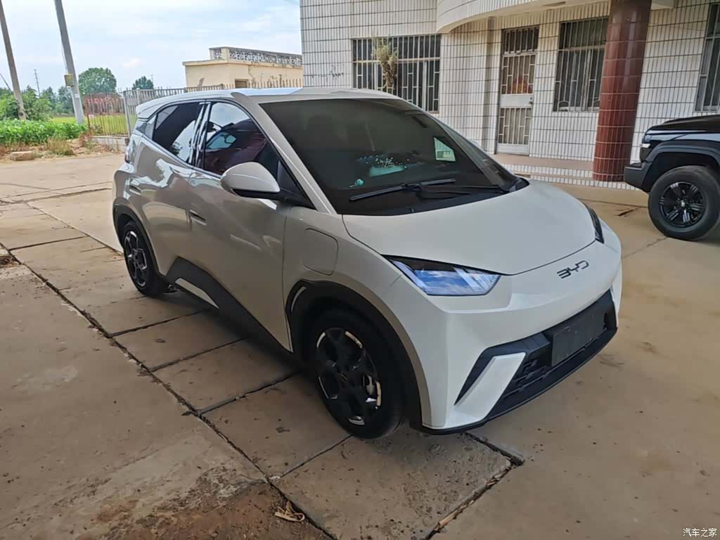 BYD Seagull, 2025 4