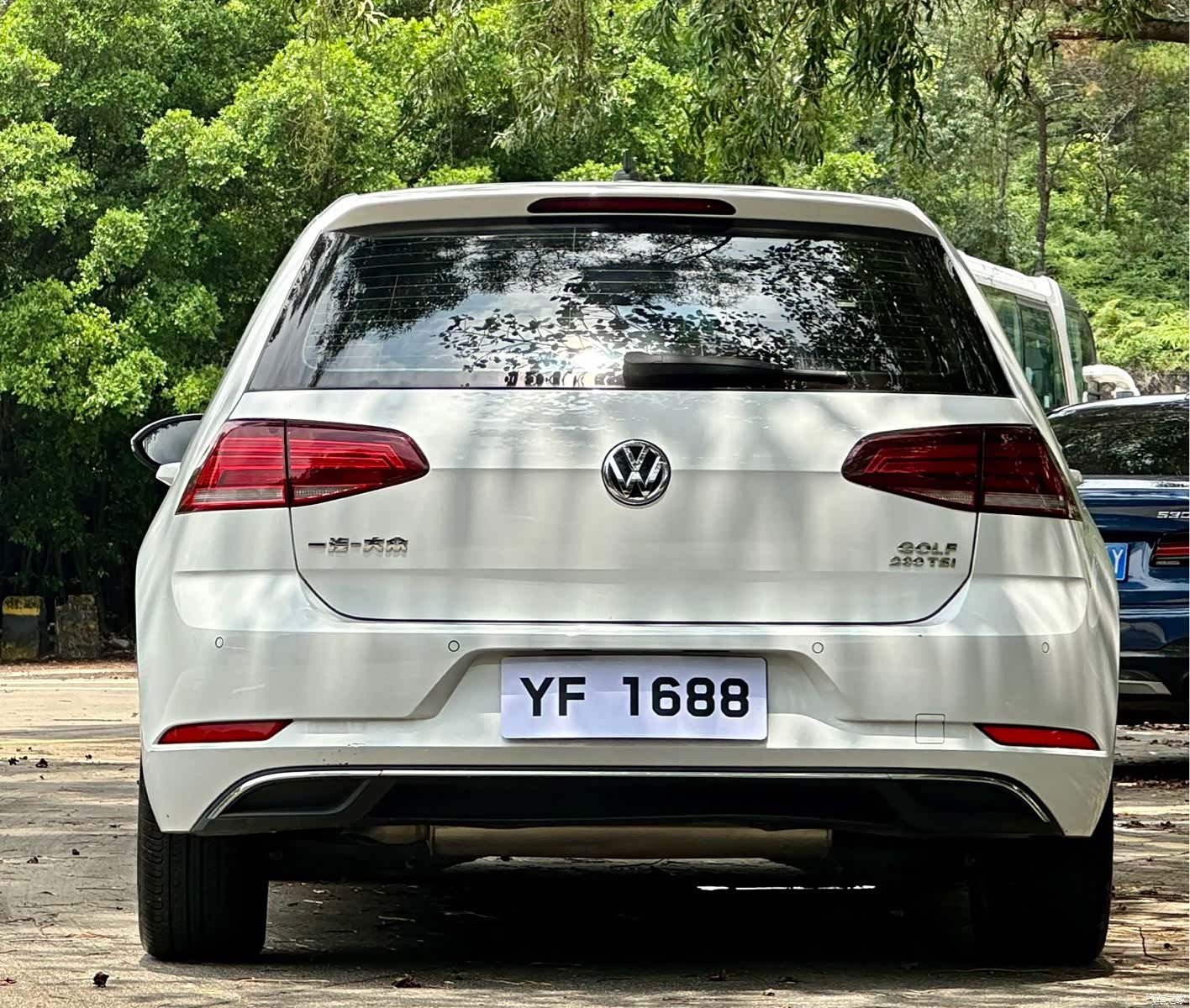 Volkswagen Golf, 2019 все фото