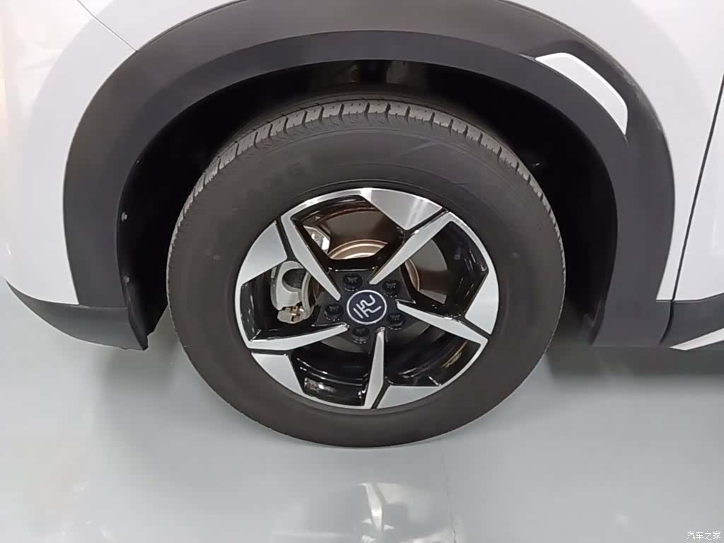 BYD Yuan, 2024 23