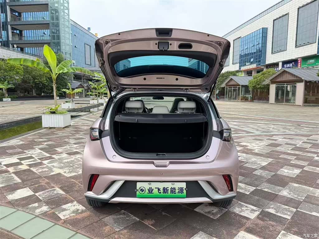 BYD Dolphin, 2022 17