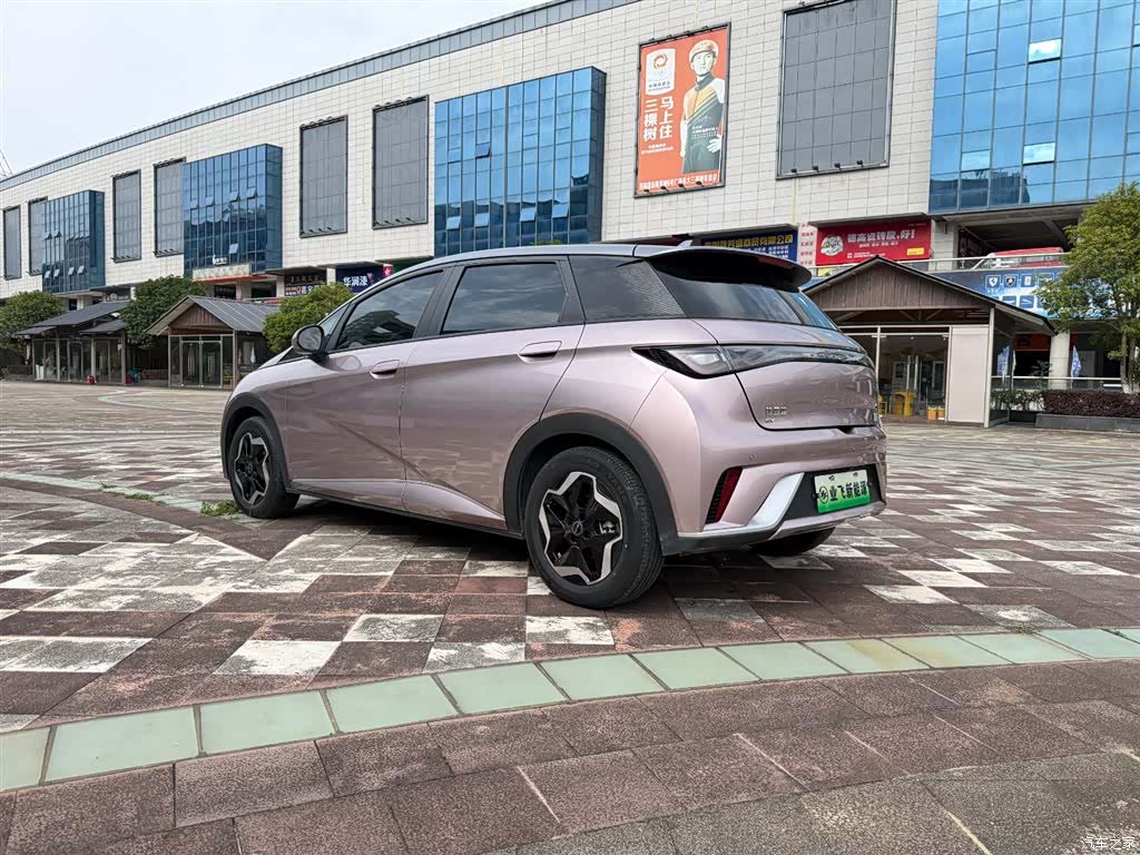 BYD Dolphin, 2022 6