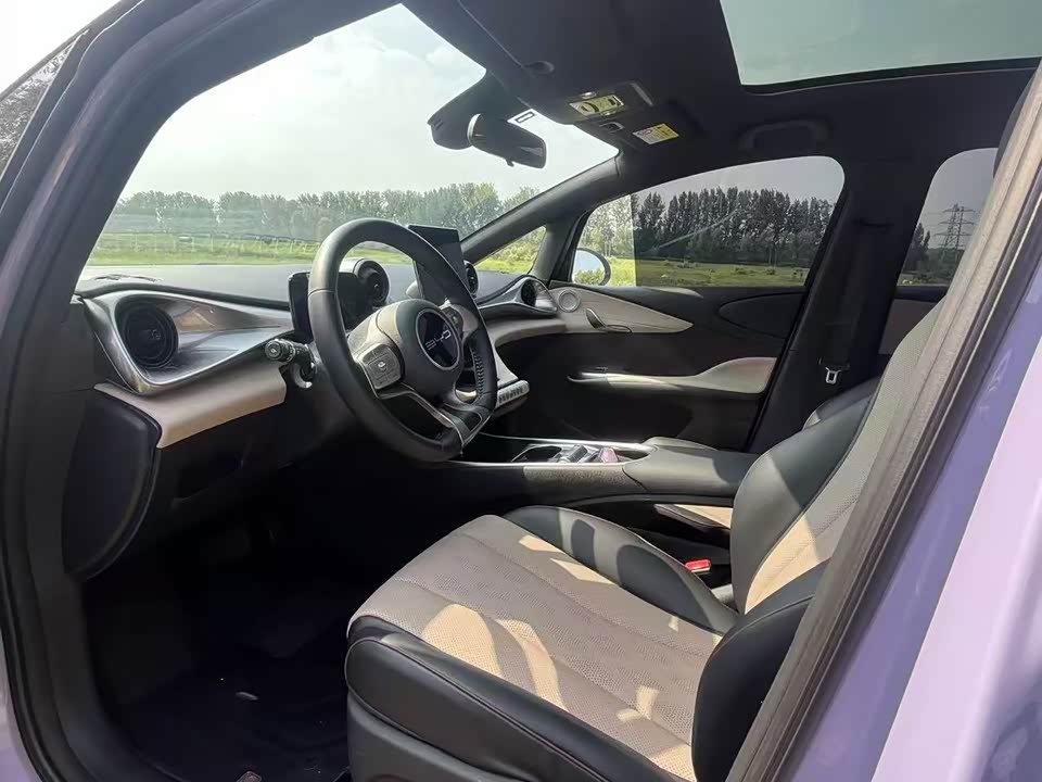 BYD dolphin