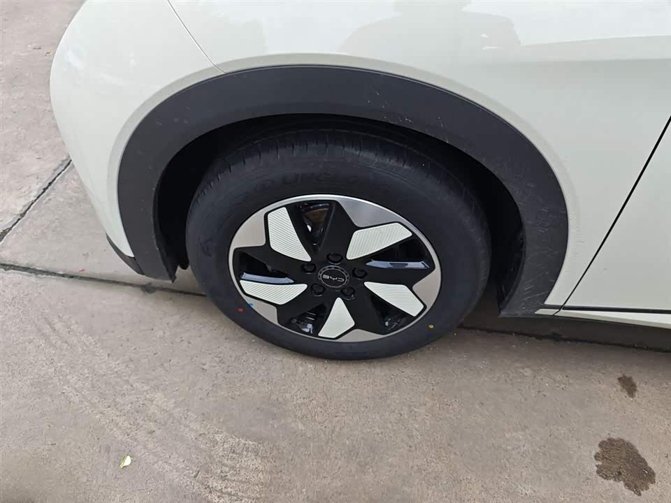 BYD dolphin