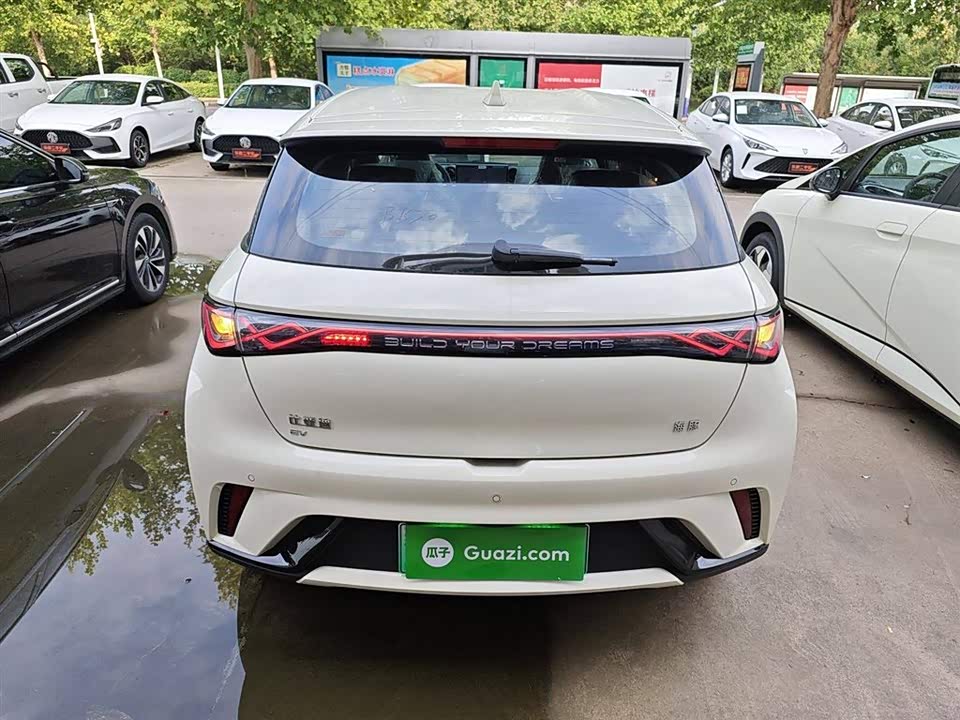 BYD dolphin