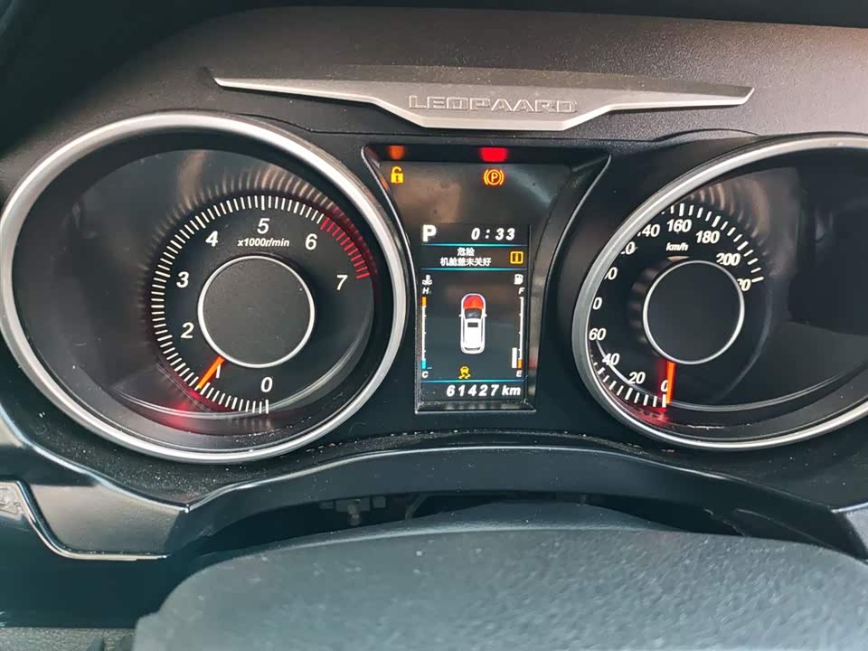 Leopaard Cheetah CS10