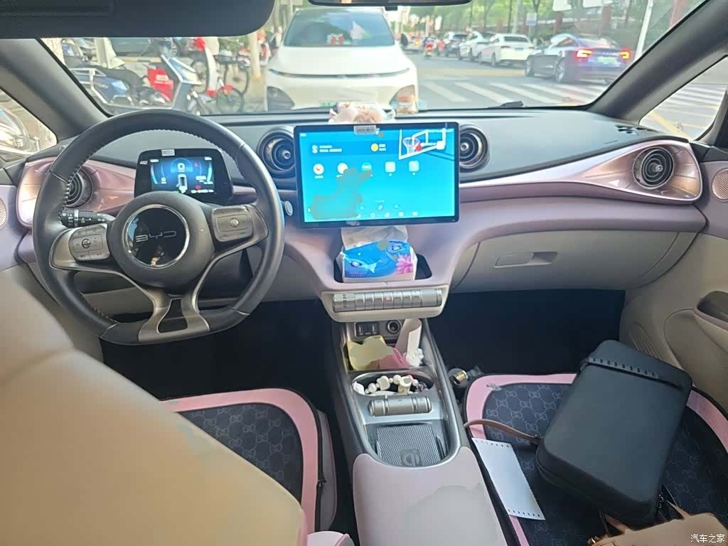 BYD Dolphin, 2021 13