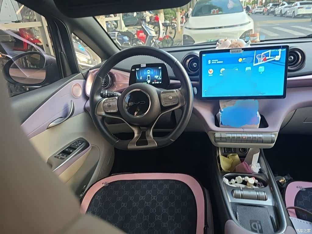 BYD Dolphin, 2021 3