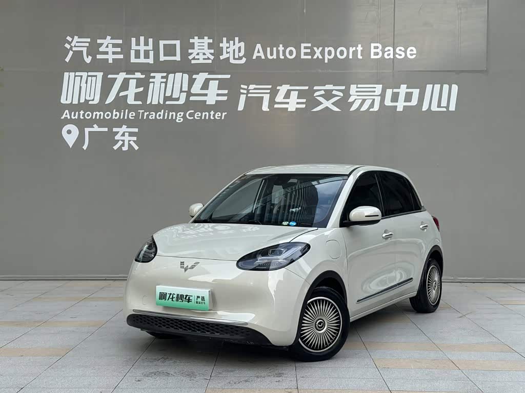 Wuling Binguo 2023 333km Enjoy +