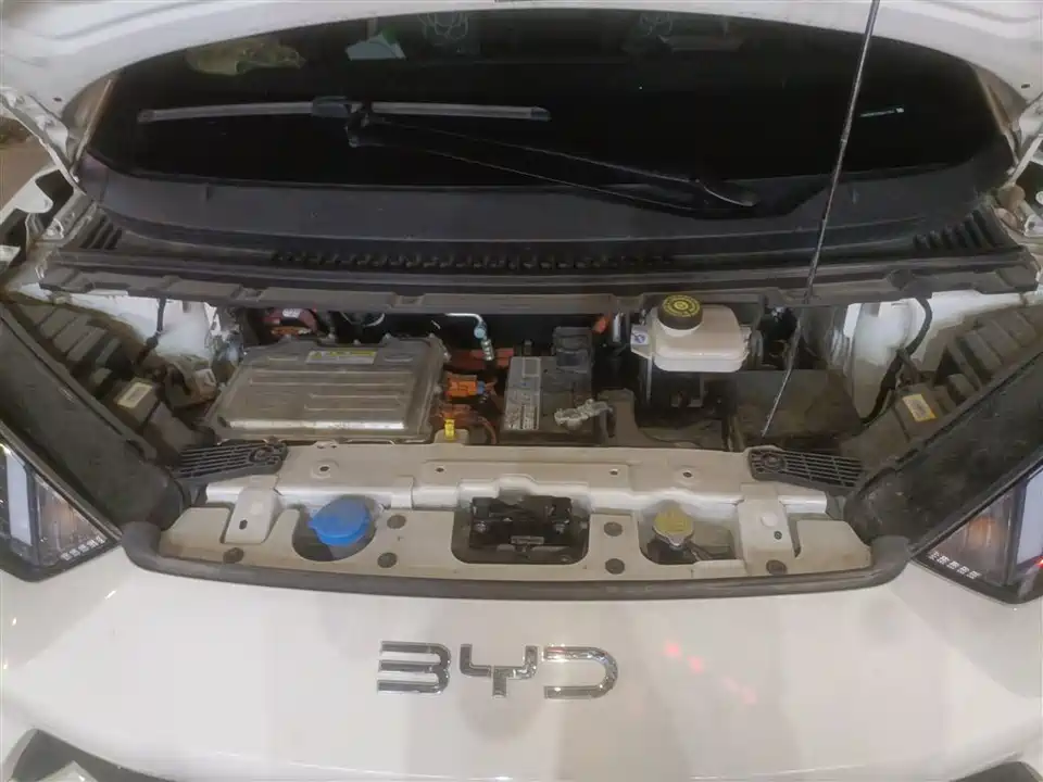 BYD Seagull