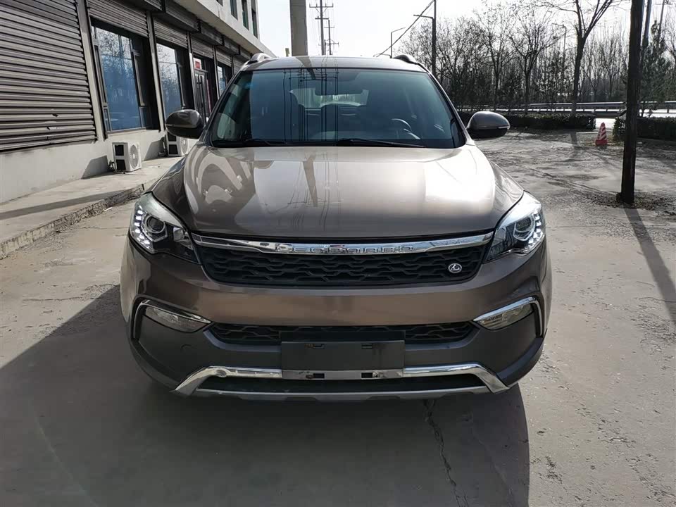 Leopaard Cheetah CS10