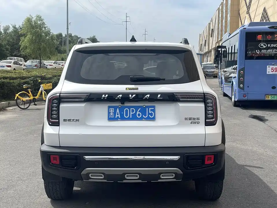 Haval Big dog