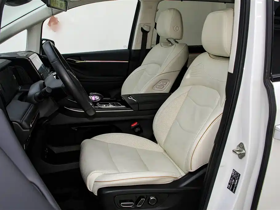 Trumpchi Trumpchi E9