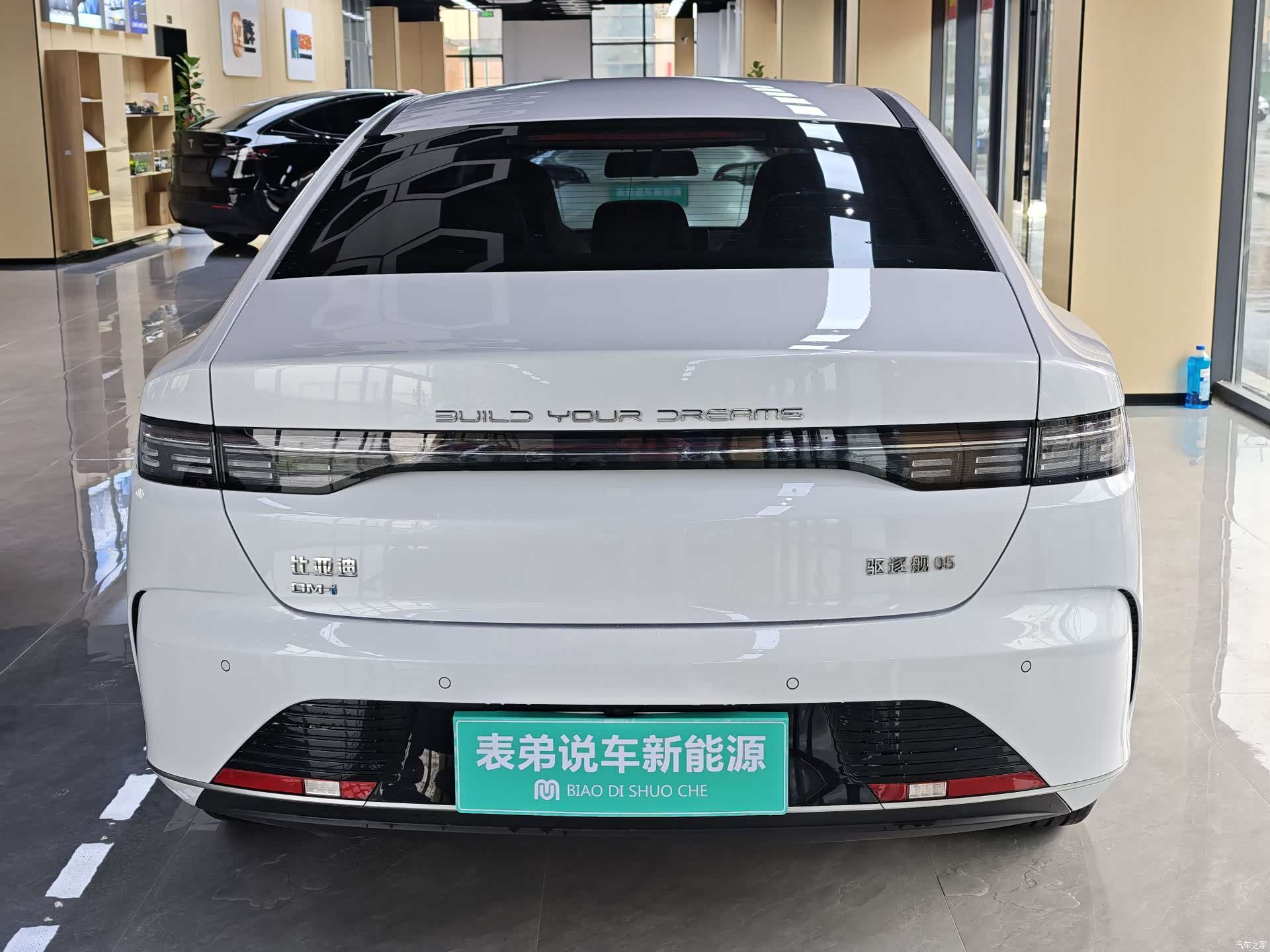 BYD Destroyer 05, 2024 все фото