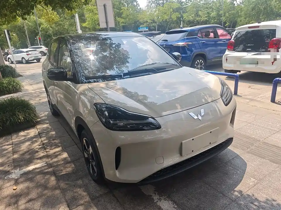 Wuling Wuling Bingguo PLUS