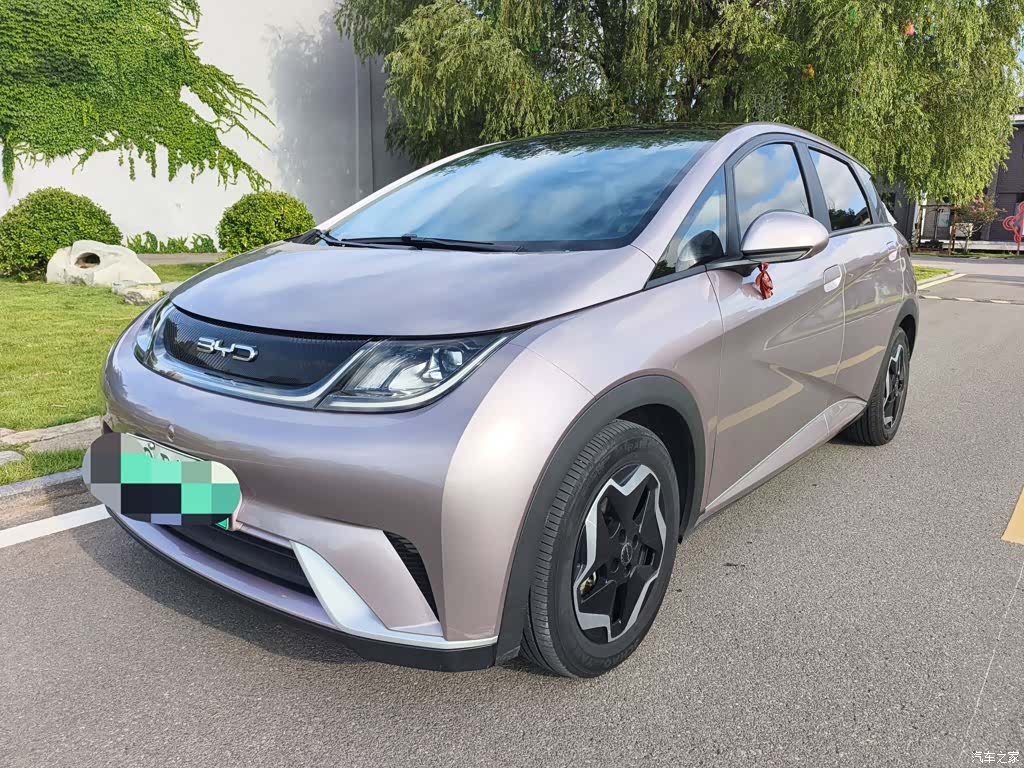 BYD Dolphin, 2022 1