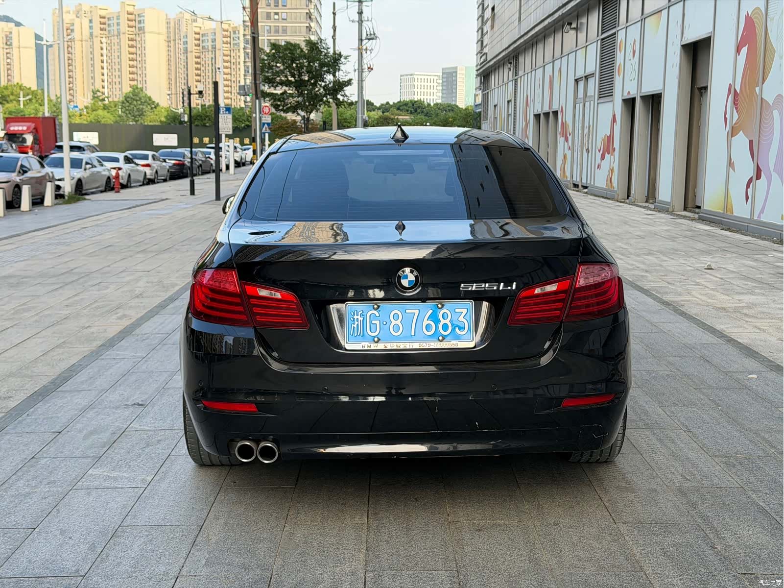BMW 5 Series, 2017 11