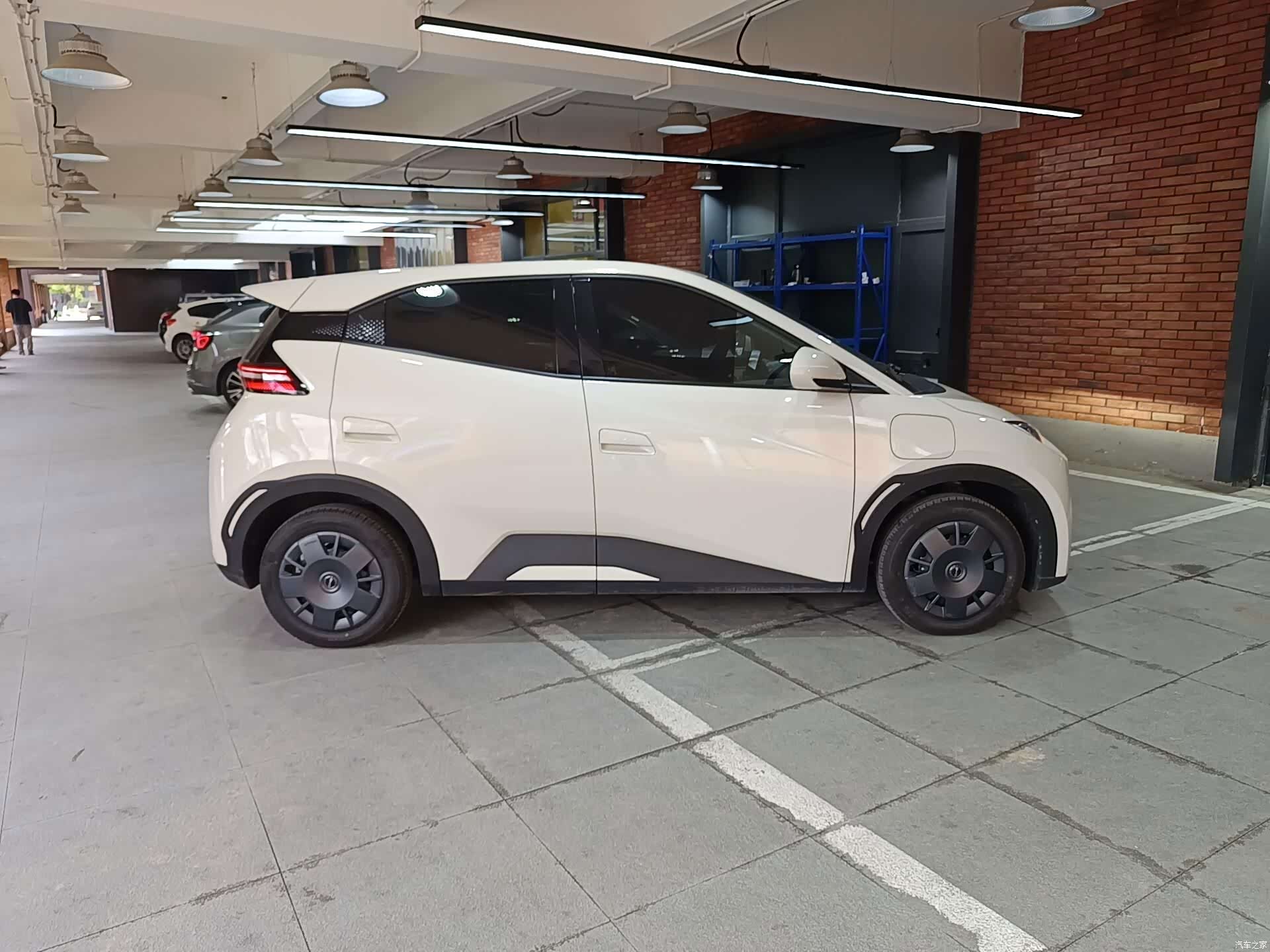 BYD Seagull, 2026 все фото