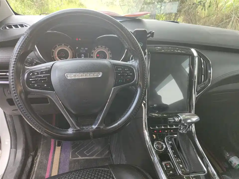 Leopaard Cheetah CS9