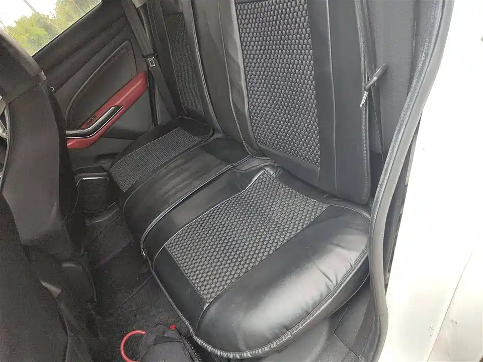 Leopaard Cheetah CS9