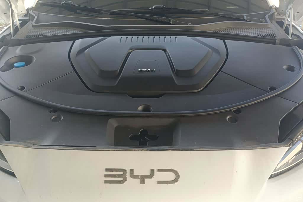 BYD Song, 2024 10