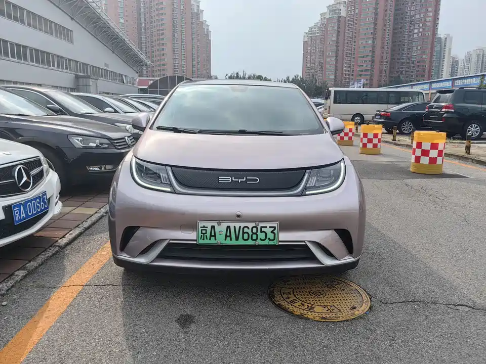 BYD dolphin