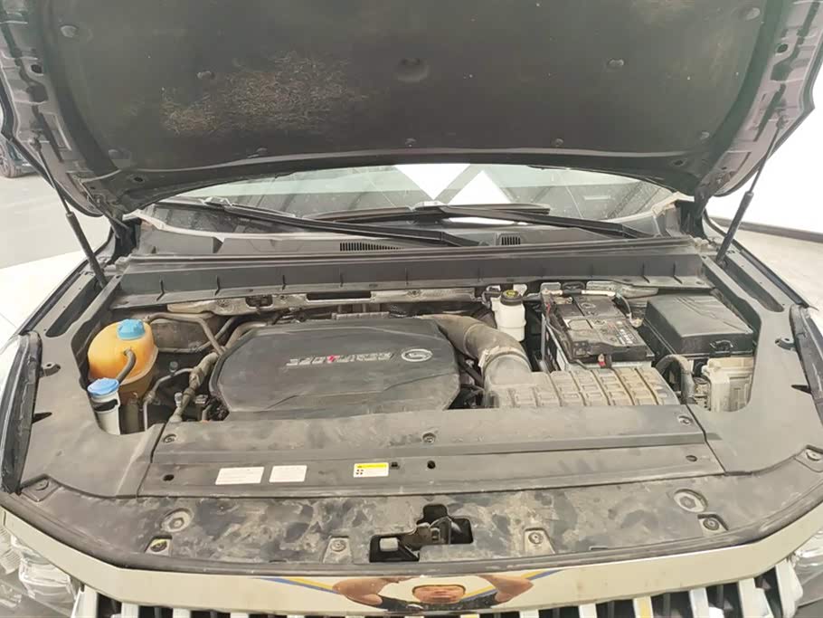 Trumpchi Trumpchi GS8