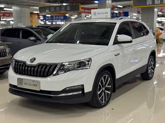 Škoda Kermick 2023 — купить из Китая под заказ