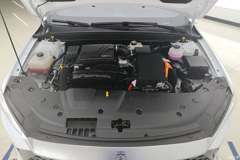 BYD Qin, 2024 10