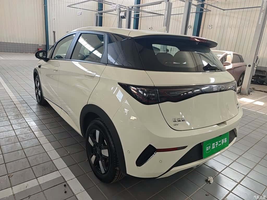 BYD Dolphin, 2025 все фото