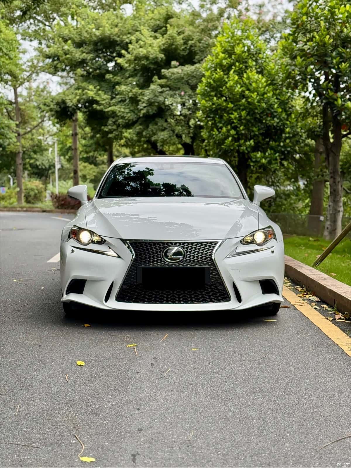 Lexus IS, 2015 3