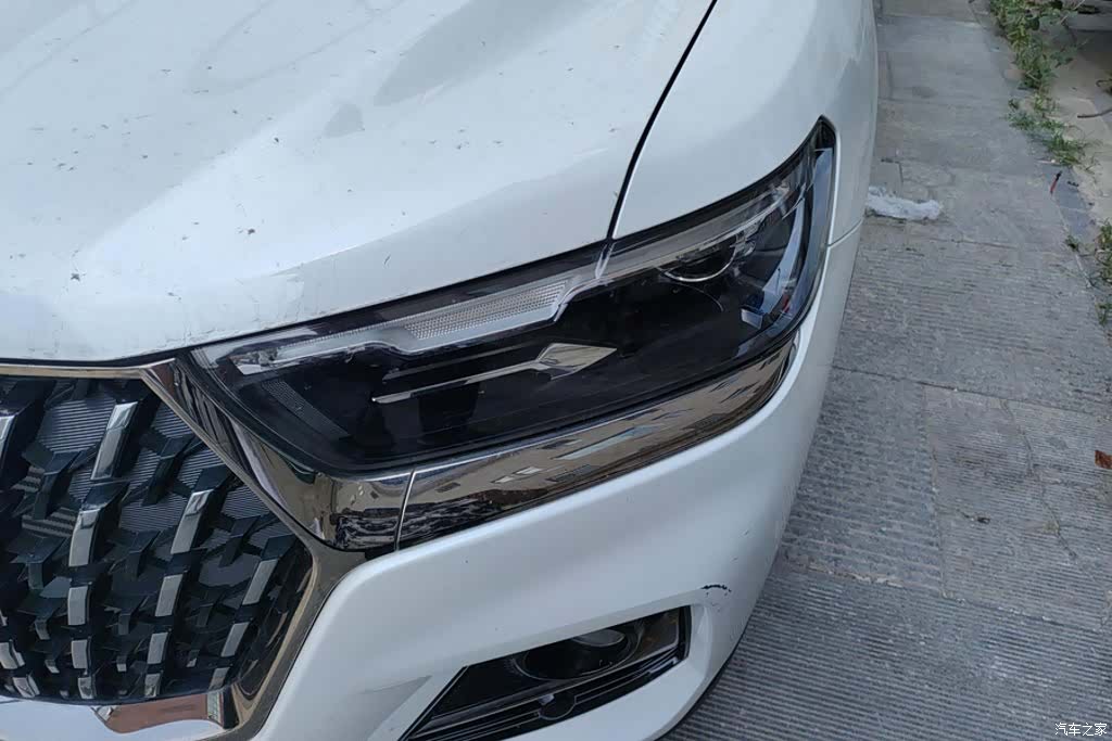 Haval H6, 2024 все фото