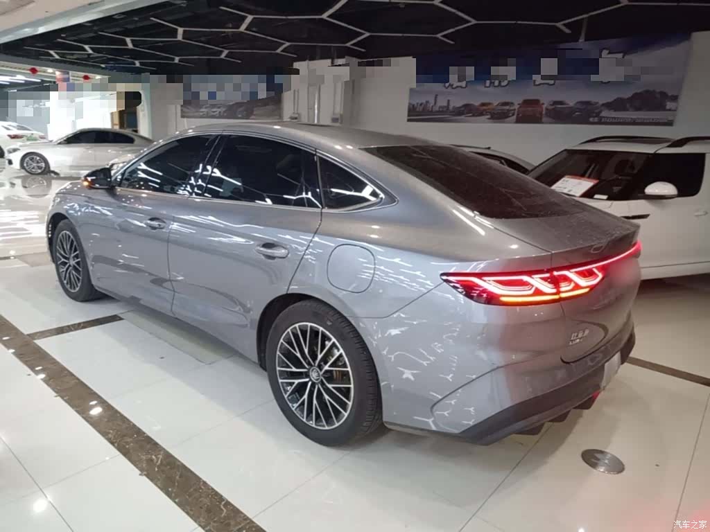 BYD Qin, 2024 все фото