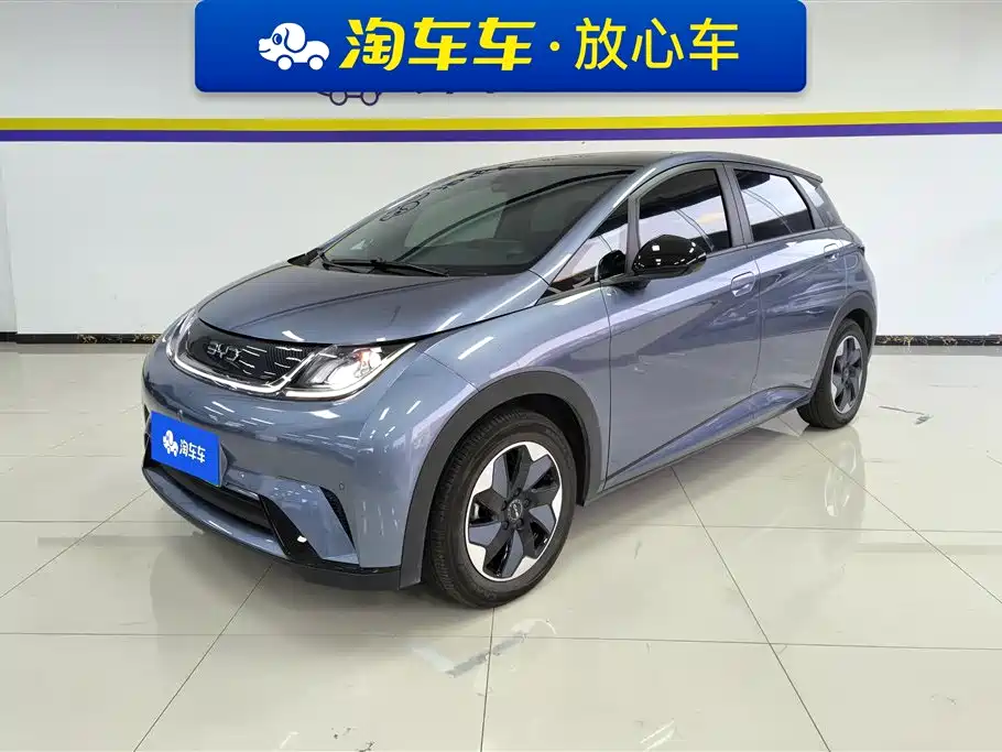 BYD dolphin
