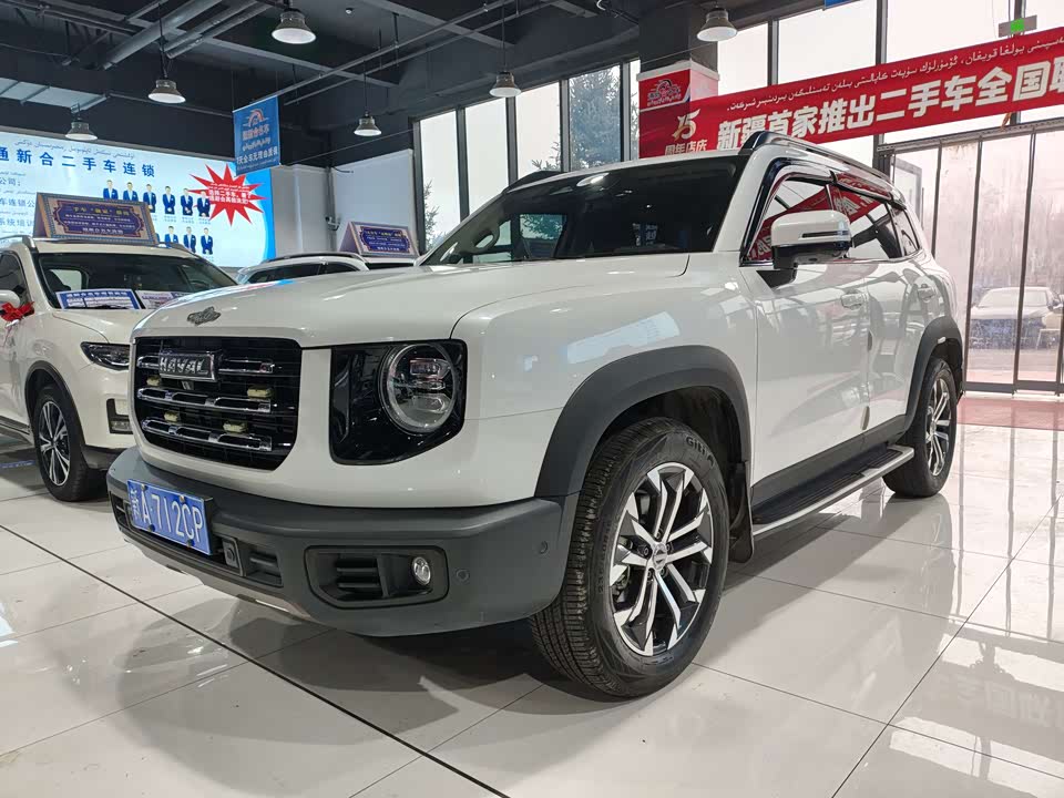 Haval Big dog