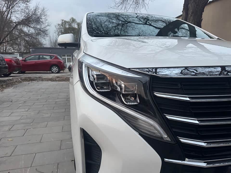 Trumpchi Trumpchi M8