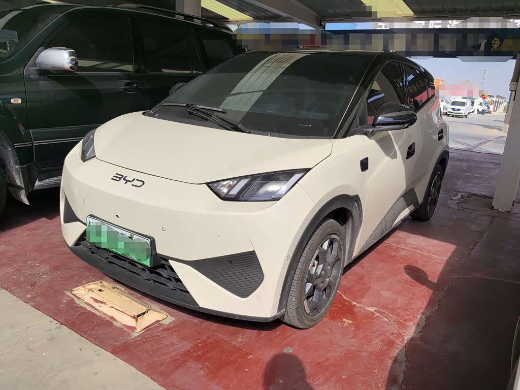 BYD Seagull