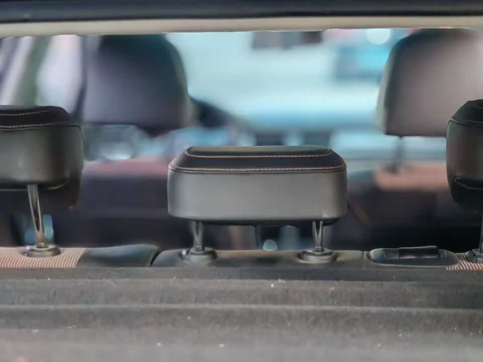 Volkswagen C-TREK Wei Collar