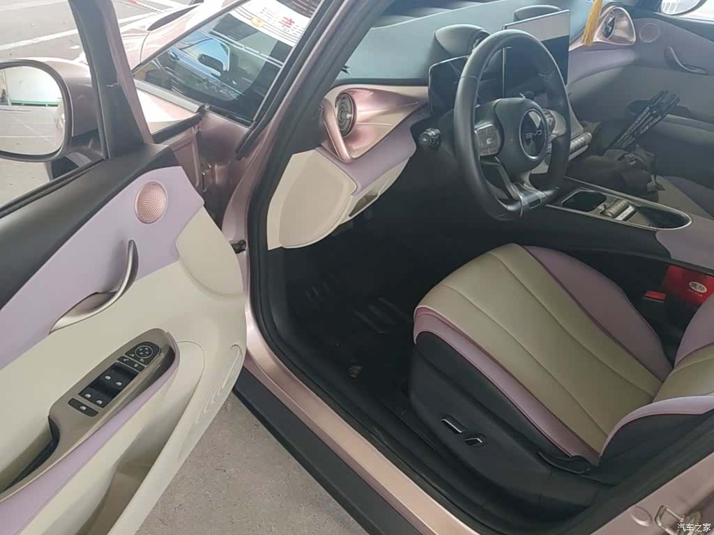 BYD Dolphin, 2022 16