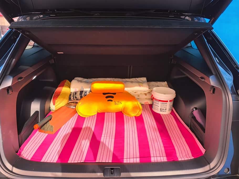 Volkswagen Range patrol