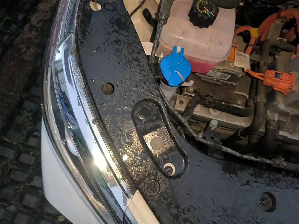 Geometry EX3 Kung Fu Cow